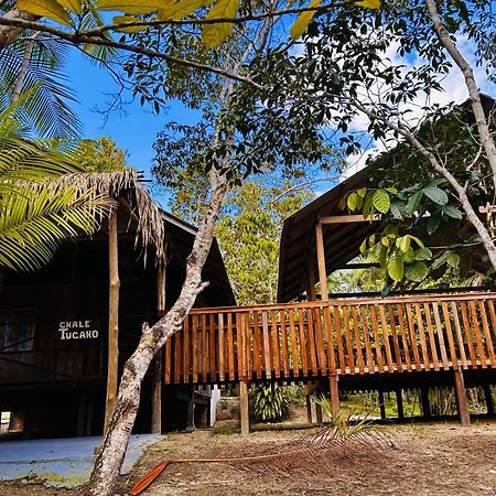 Ponta Poranga Jungle Lodge Manaus Luaran gambar