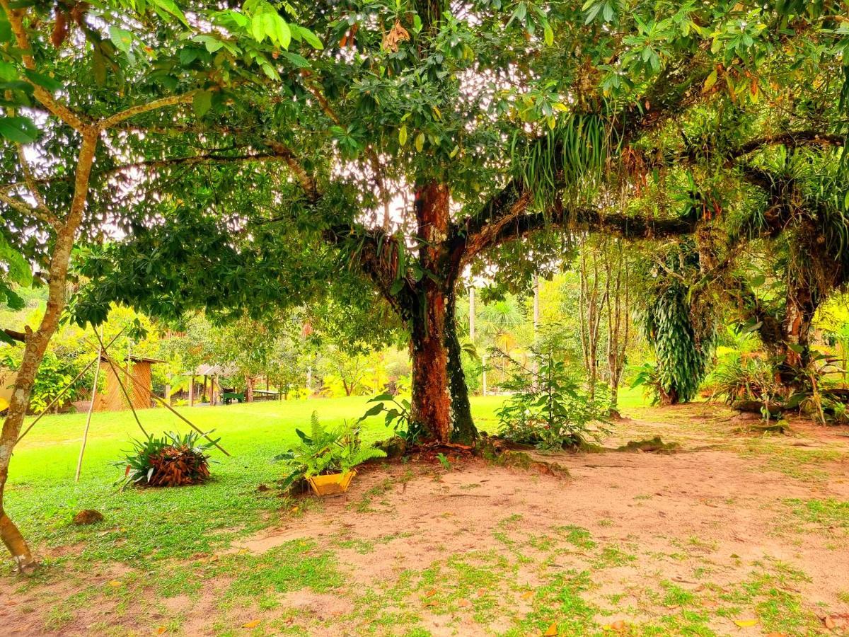 Ponta Poranga Jungle Lodge Manaus Luaran gambar