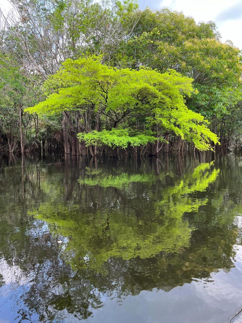 Ponta Poranga Jungle Lodge Manaus Luaran gambar
