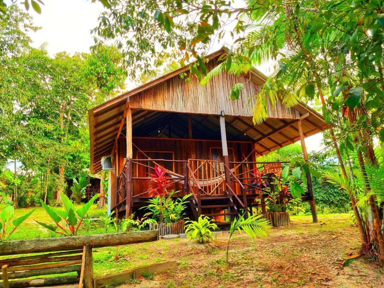 Ponta Poranga Jungle Lodge Manaus Luaran gambar
